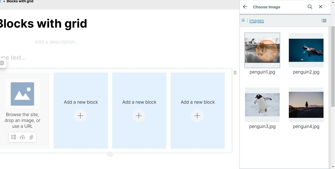 Select an image